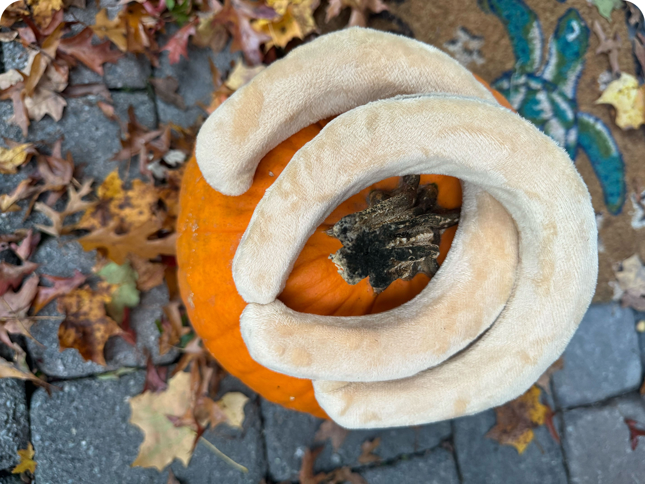 Soft, Skin-Friendly & Safe